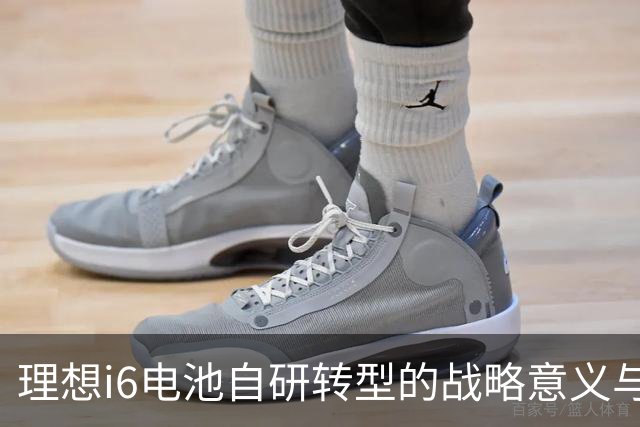 理想i6电池自研转型的战略意义与市场风险分析