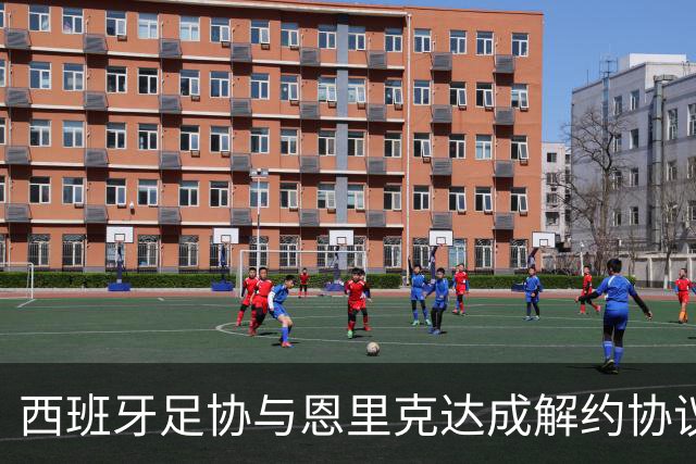 西班牙足协与恩里克达成解约协议 新任主帅人选浮出水面
