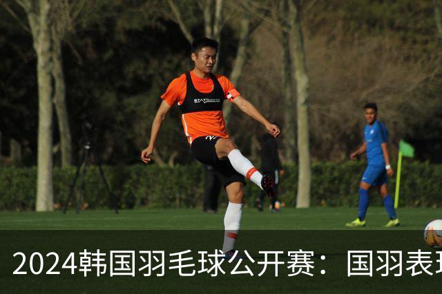 2024韩国羽毛球公开赛：国羽表现分析及选手进退情况